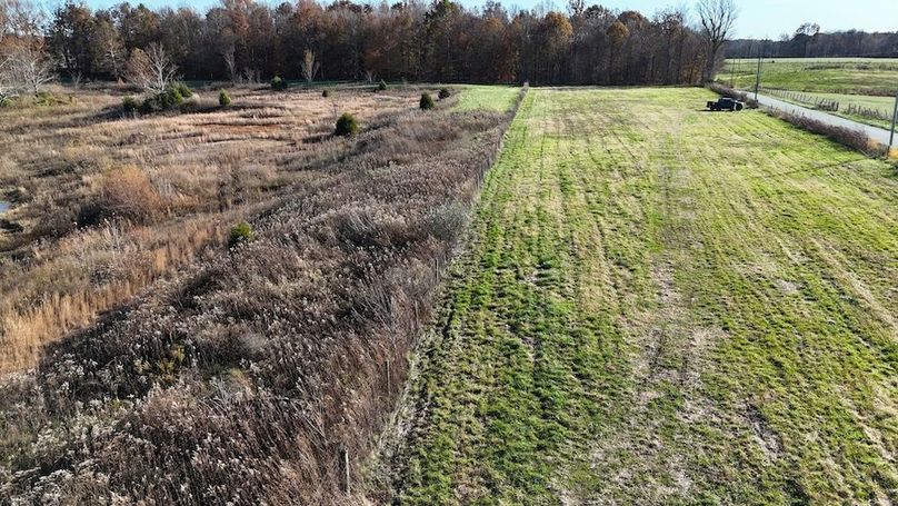 DJI_20251112150921_0611_D