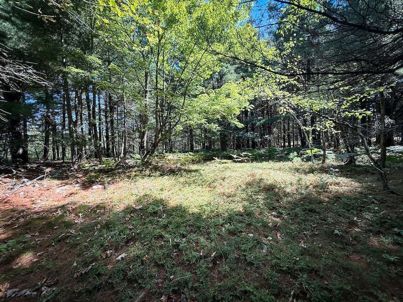 Jefferson NY 195.6 Parker Photos 34