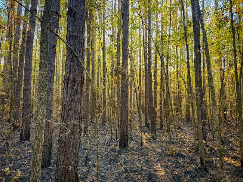 Clay 302.7 Henderson-10