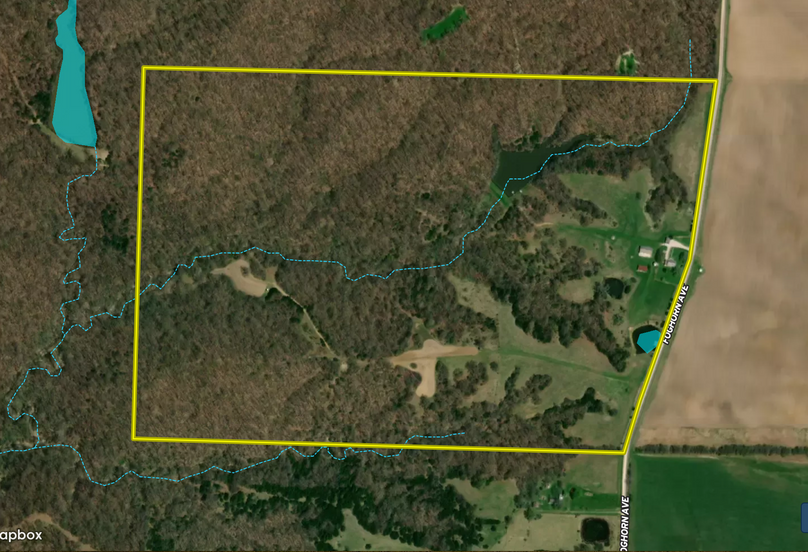 Screen Shot 2022-04-18 at 1.41.45 PM