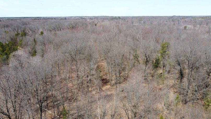 C4516D67-BECE-40E7-9F96-946261D51E9D