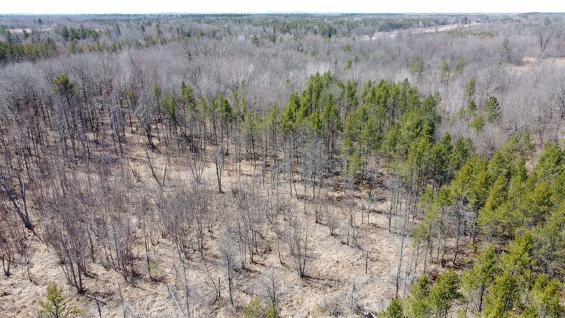 3A3343A3-0E56-4E2F-AA20-06F19A9E7754