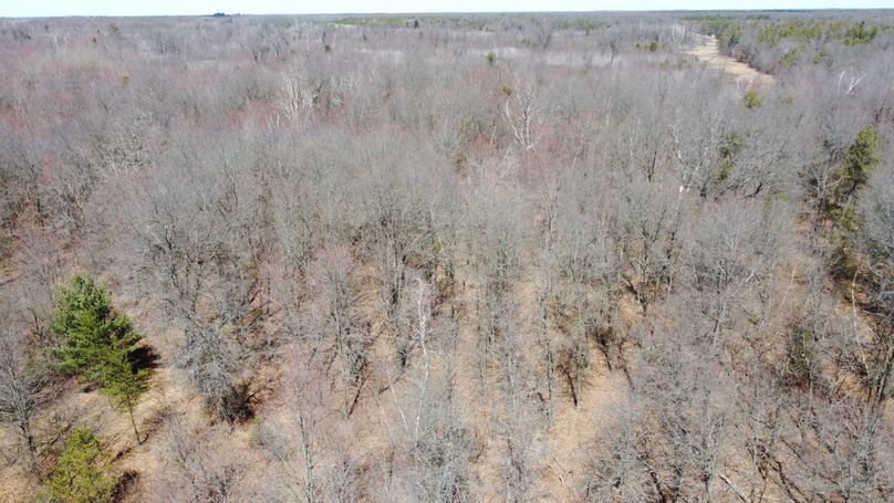 D4926BA4-5880-47F1-8A87-D548DB9A6447