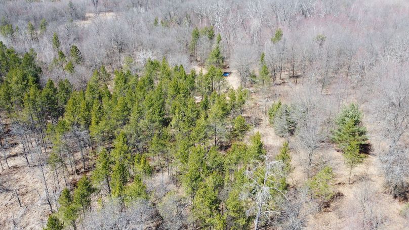 832A8647-CE4F-4F49-A06D-080B48DF4274