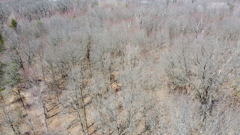 6D9730CD-5072-4243-BA21-69A88811A757