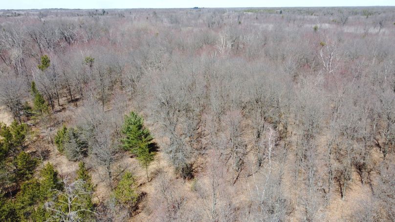 6A87A1FF-A249-4280-A77A-2EB7D930CEED