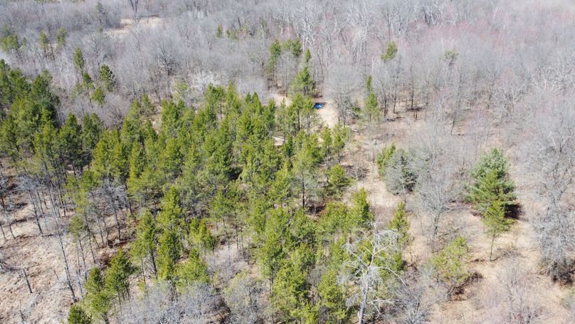 5A0B8B89-AAE1-4E92-9971-03BC3F5D628D