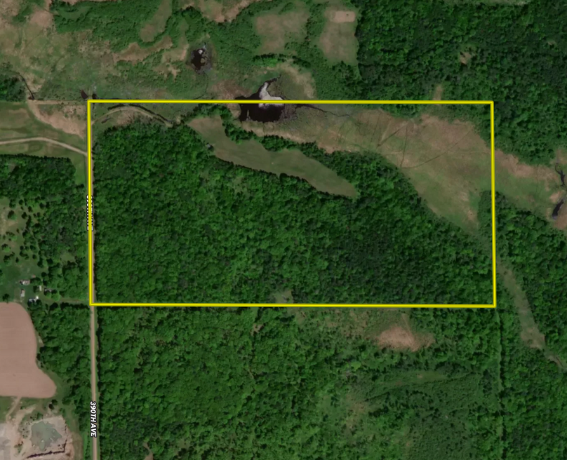 Morrison County 80  Close ( Bradley)