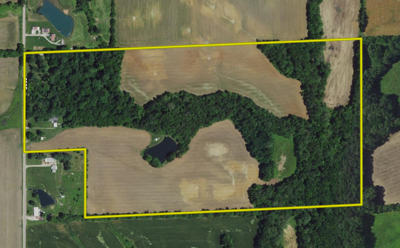 Screen Shot 2022-04-19 at 5.17.03 PM