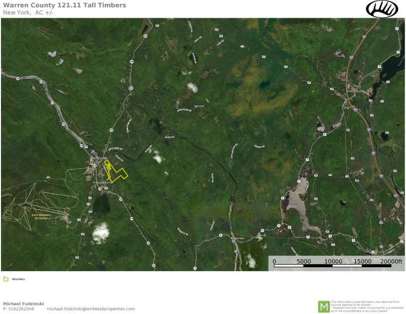 Warren County NY 121.11 Tall Timbers Wide Map