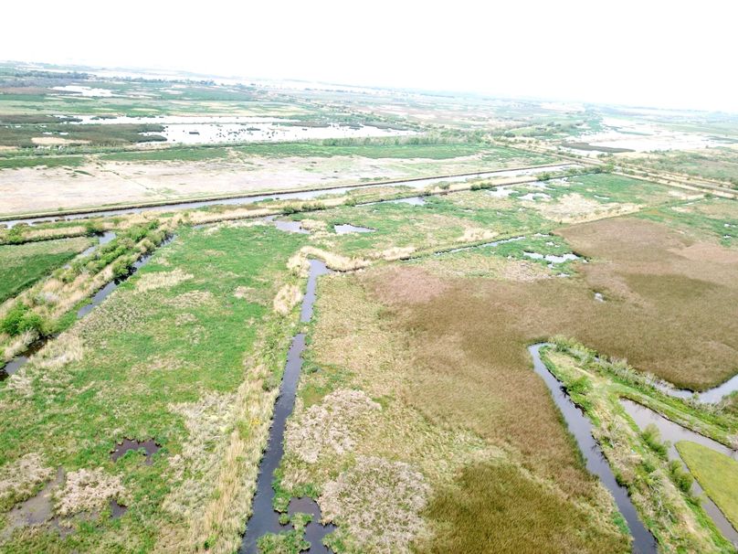 DJI_0020