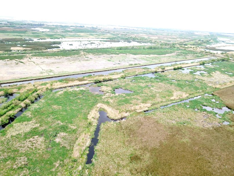 DJI_0021