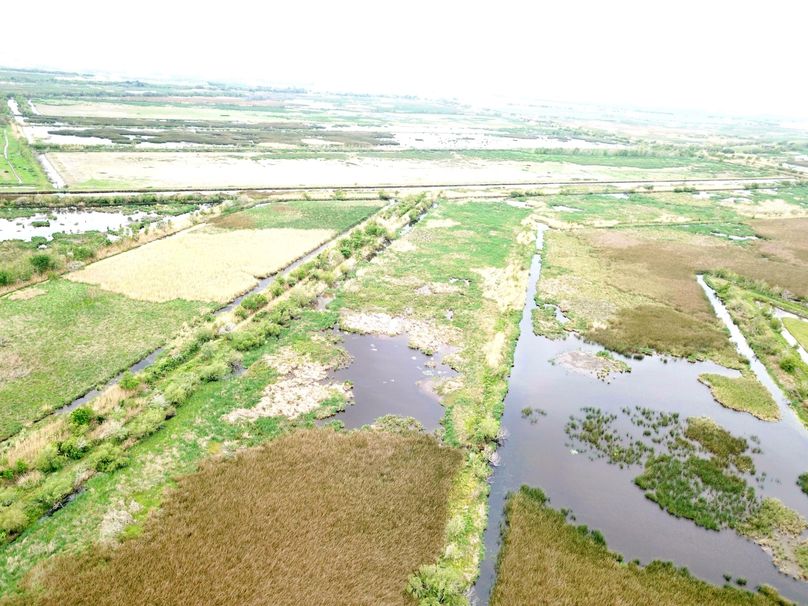 DJI_0018