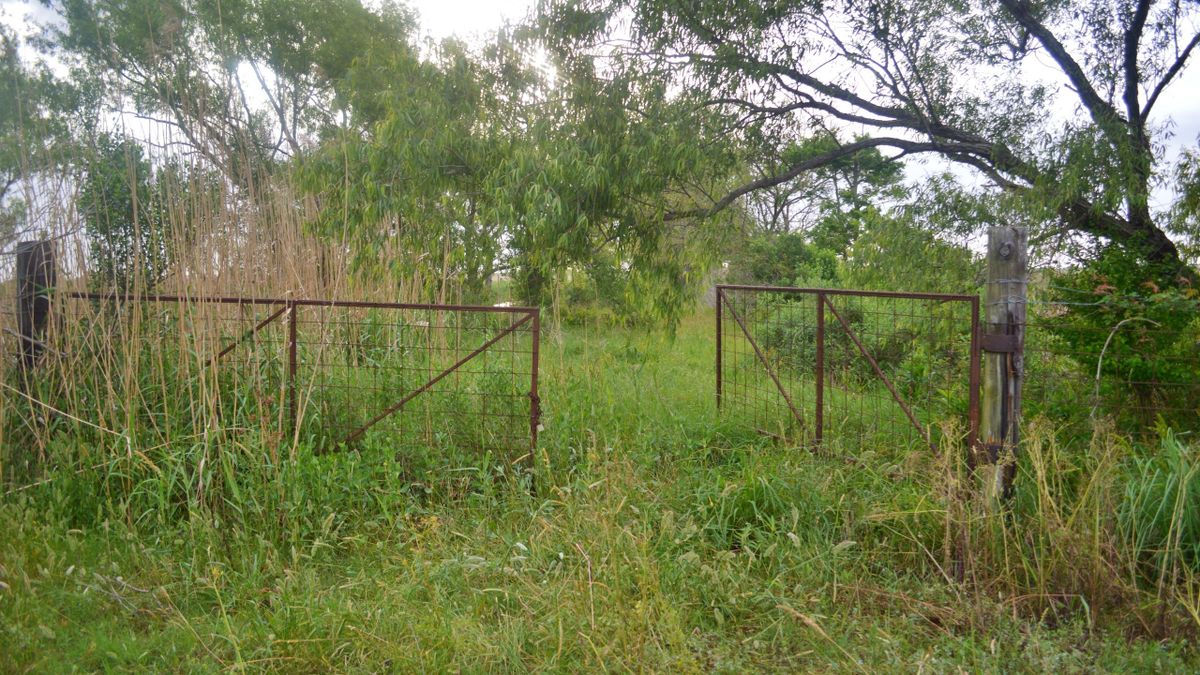 Duck Hunting Property in Southern Louisiana Whitetail Properties