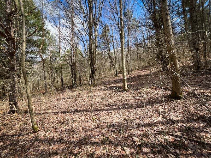 Tioga__NY_109.7_Burris_Photos_62