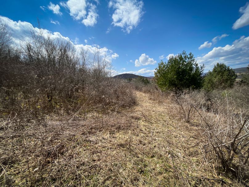 Tioga__NY_109.7_Burris_Photos_81