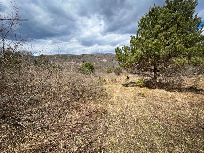 Tioga__NY_109.7_Burris_Photos_54