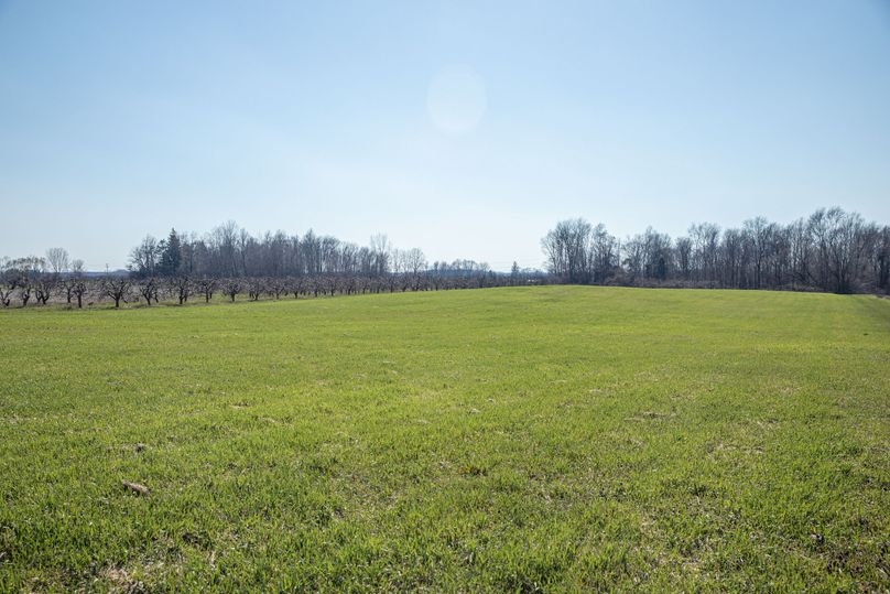 35 North Hay Field