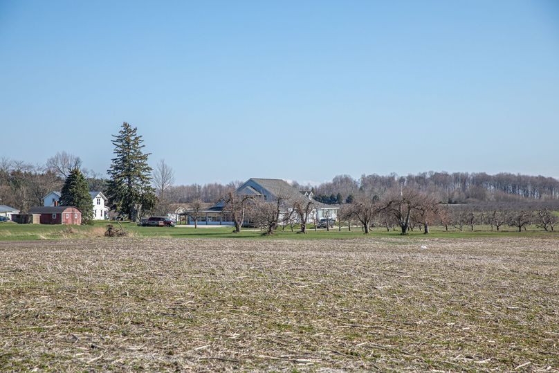 37 View of the Winery From the Orchard