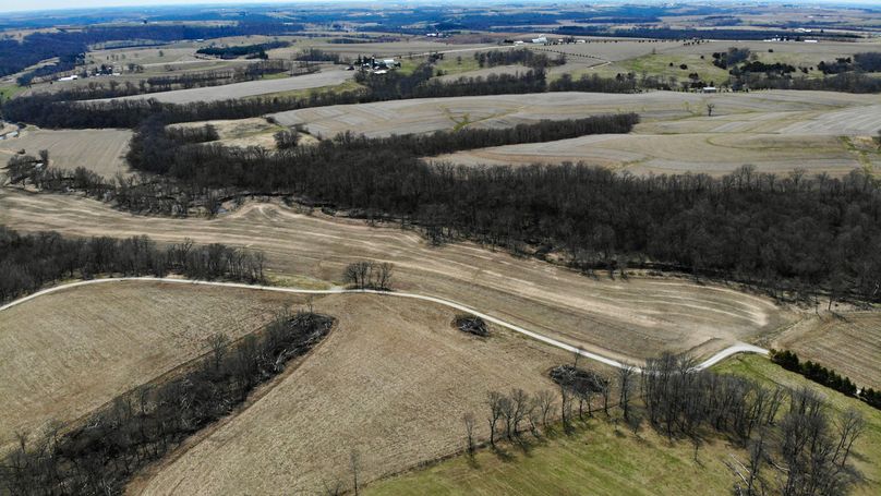 Grant 300 - 17 of 96