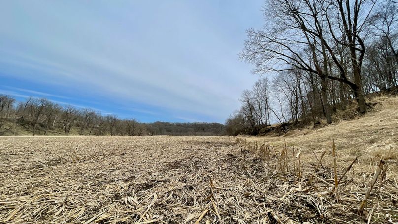 Grant 300 - 77 of 96