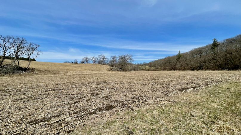 Grant 300 - 85 of 96