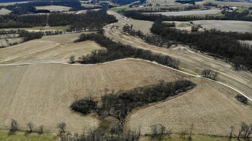 Grant 300 - 18 of 96