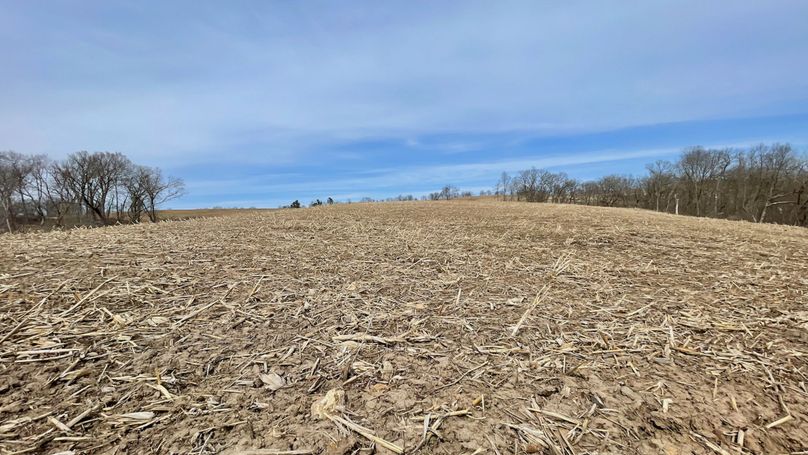 Grant 300 - 92 of 96