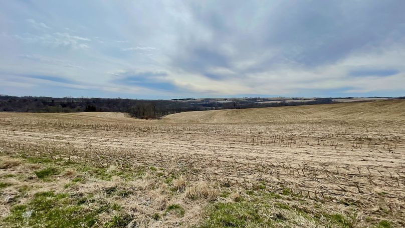 Grant 300 - 95 of 96