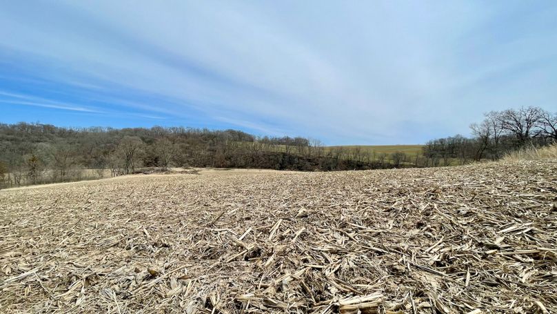 Grant 300 - 73 of 96