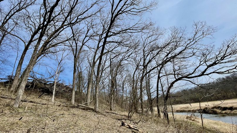 Grant 300 - 90 of 96