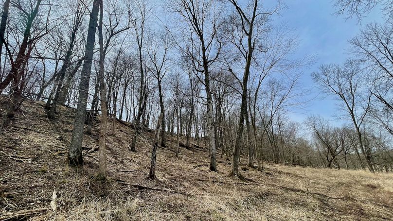 Grant 300 - 76 of 96