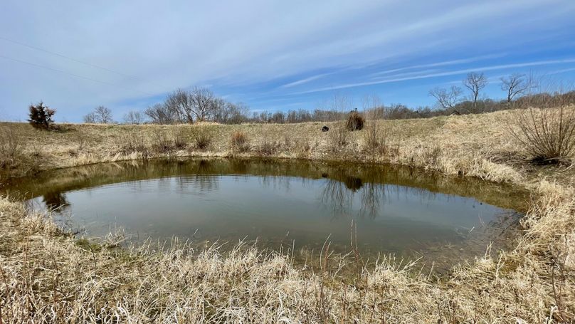 Grant 300 - 74 of 96