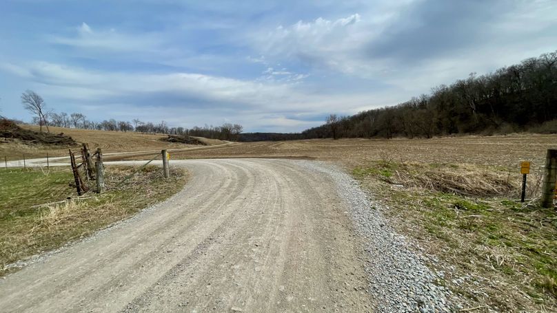 Grant 300 - 96 of 96