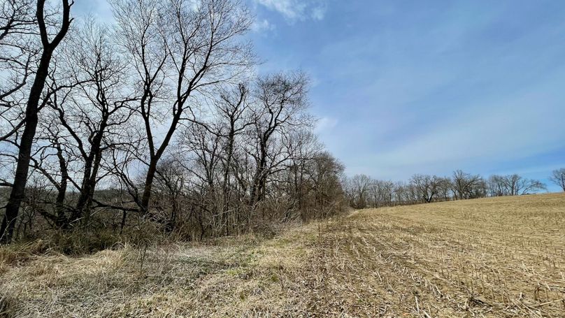 Grant 300 - 93 of 96