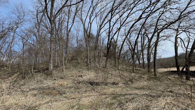 Grant 300 - 89 of 96