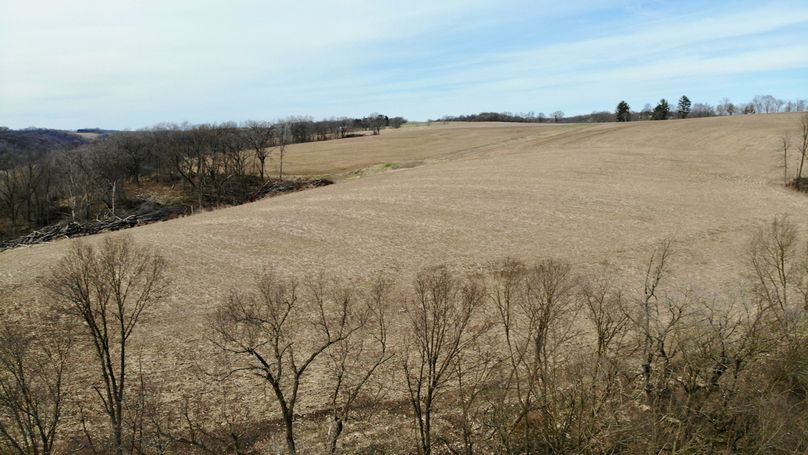 Grant 300 - 25 of 96