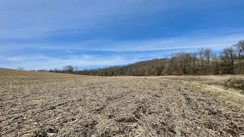 Grant 300 - 83 of 96