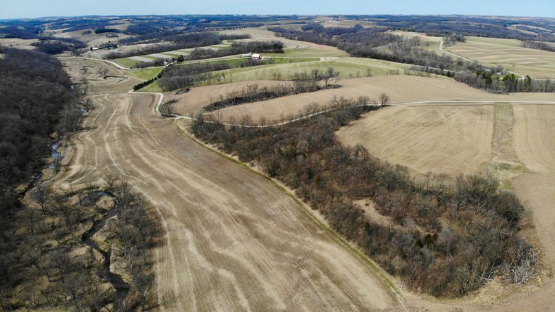 Grant 300 - 29 of 96