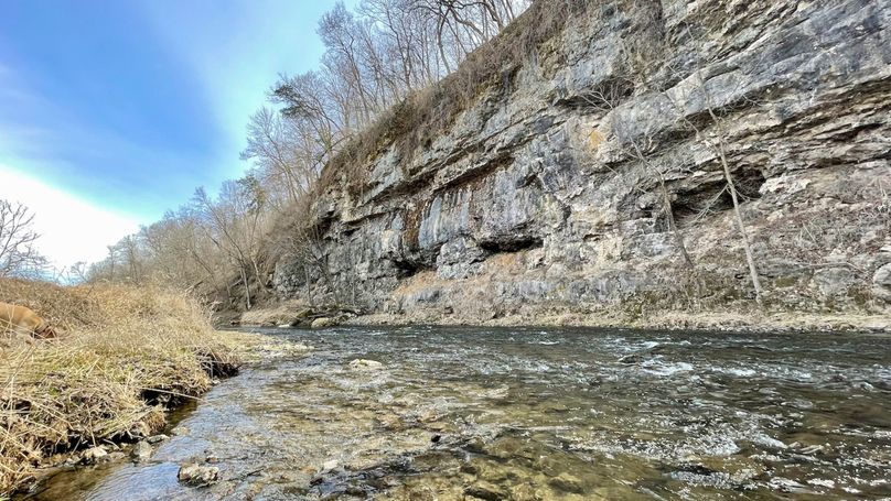 Grant 300 - 81 of 96