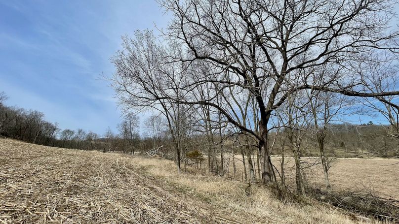 Grant 300 - 75 of 96