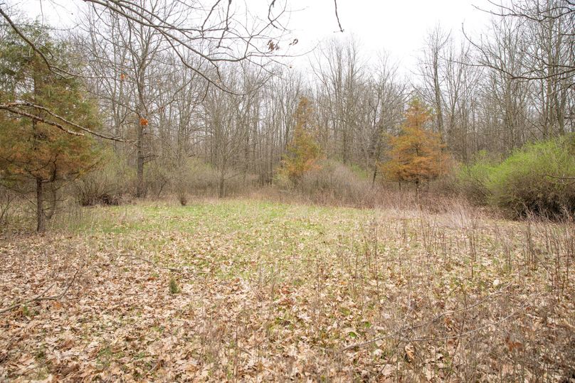 19 Open Area Would Make a Great Food Plot