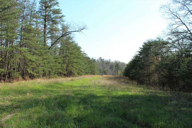 005 the open field area in the eastern area of the property along the gasline
