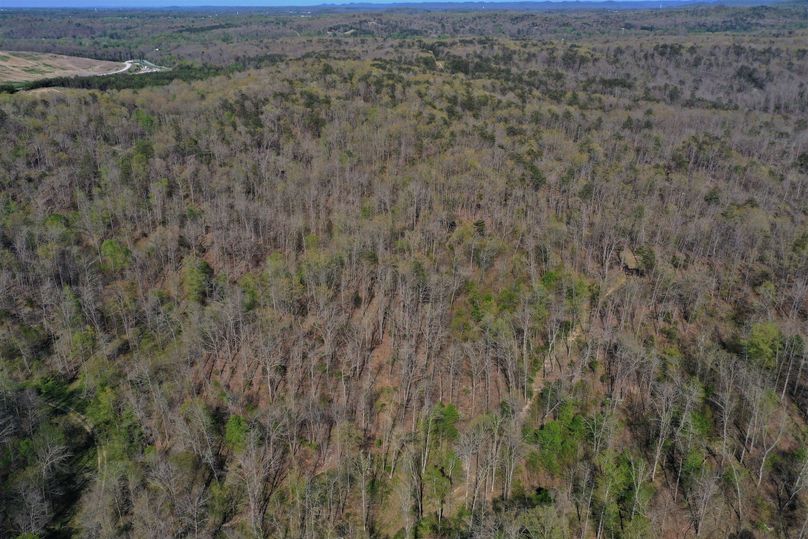 012 aerial drone shot from the south boundary looking northeast