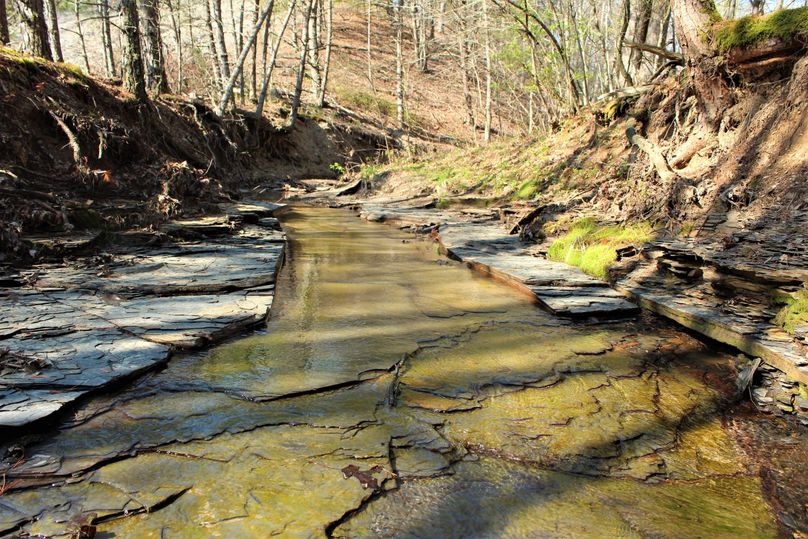 002 shale bed stream in the southeast portion of the property