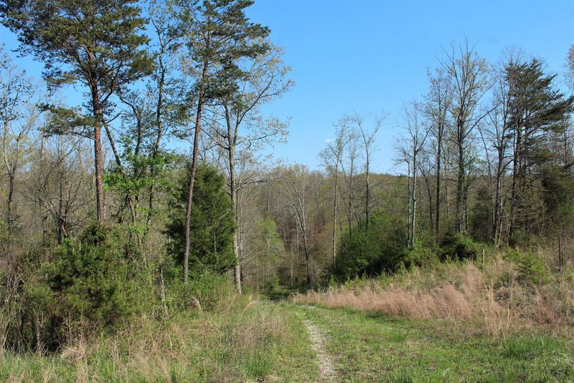 009 the gravel access road leading down from the blacktop in the western area of the property