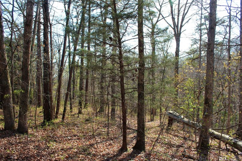 019 southwest facing slope on a secondary point in the middle of the property