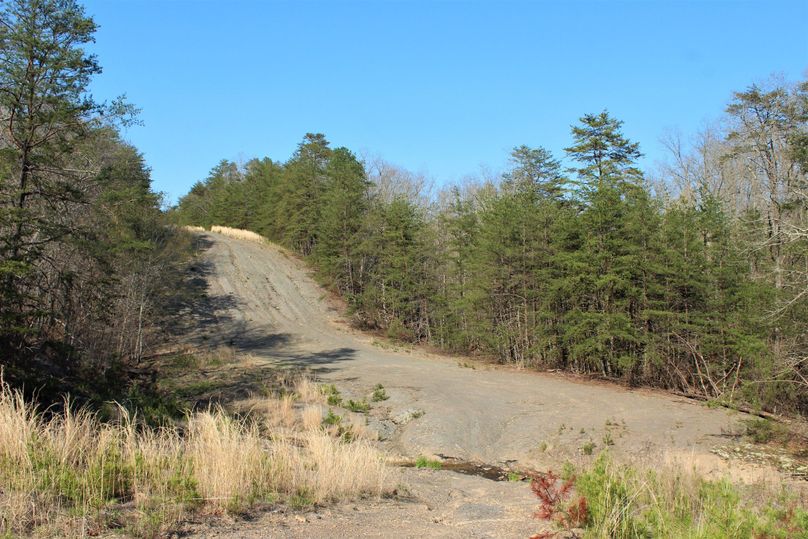 010 awesome ATV and horseback riding areas near the gas line and eastern section of the property