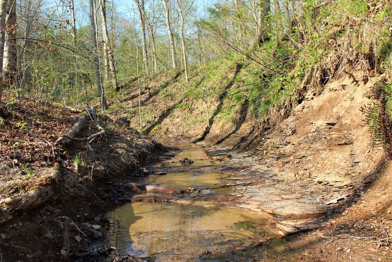 017 the slate bottom creek flowing through the western portion of the property