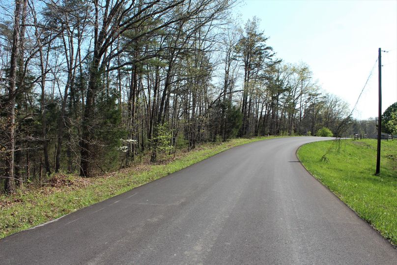014 more of the 1000_ county blacktop road along the west boundary